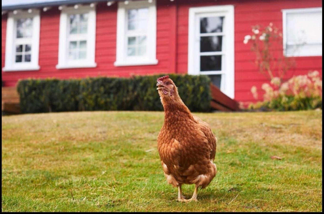 Little Red School House Villa Oamaru Exterior photo